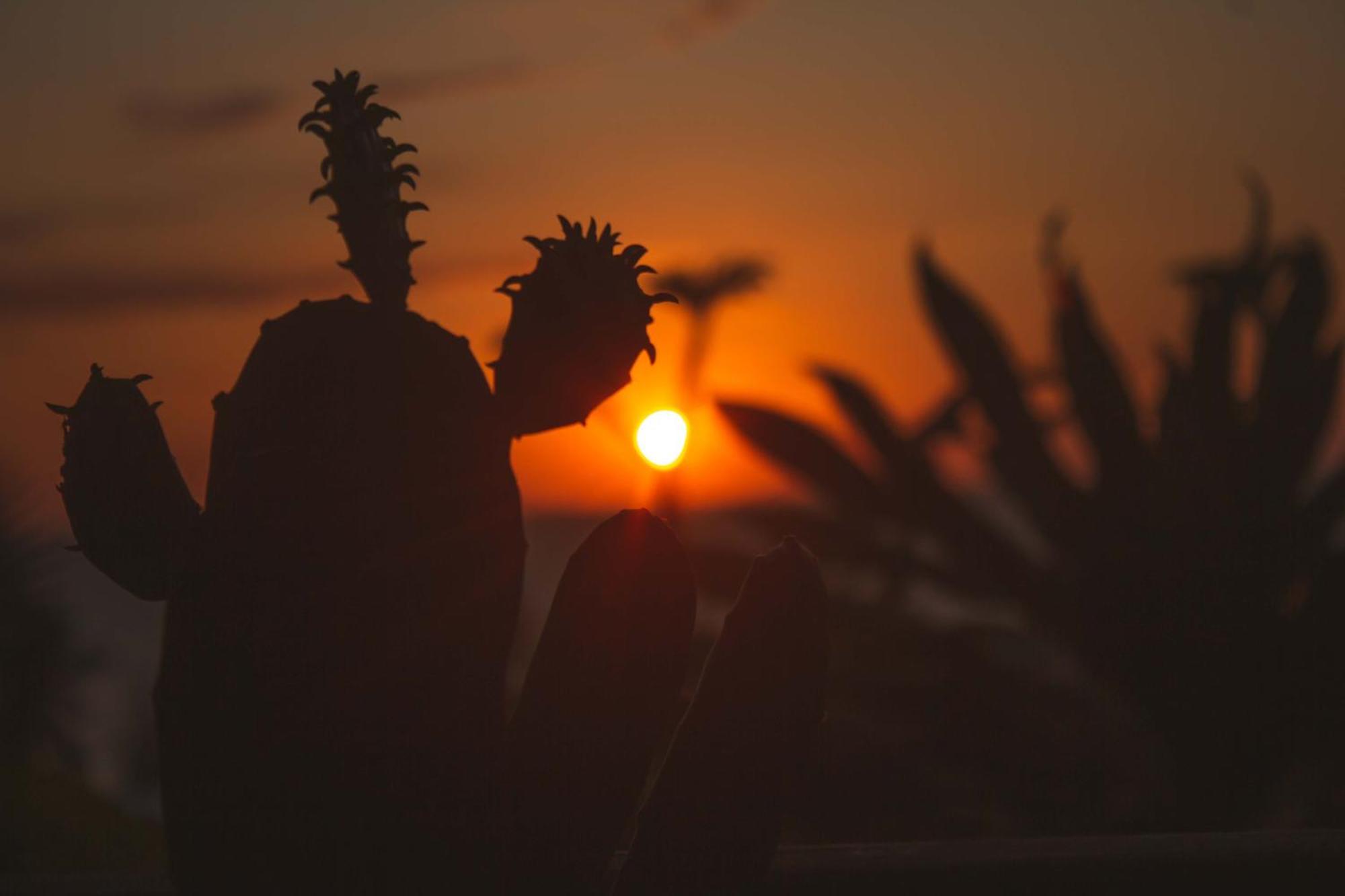 Coucher De Soleil Амбатолоака Экстерьер фото